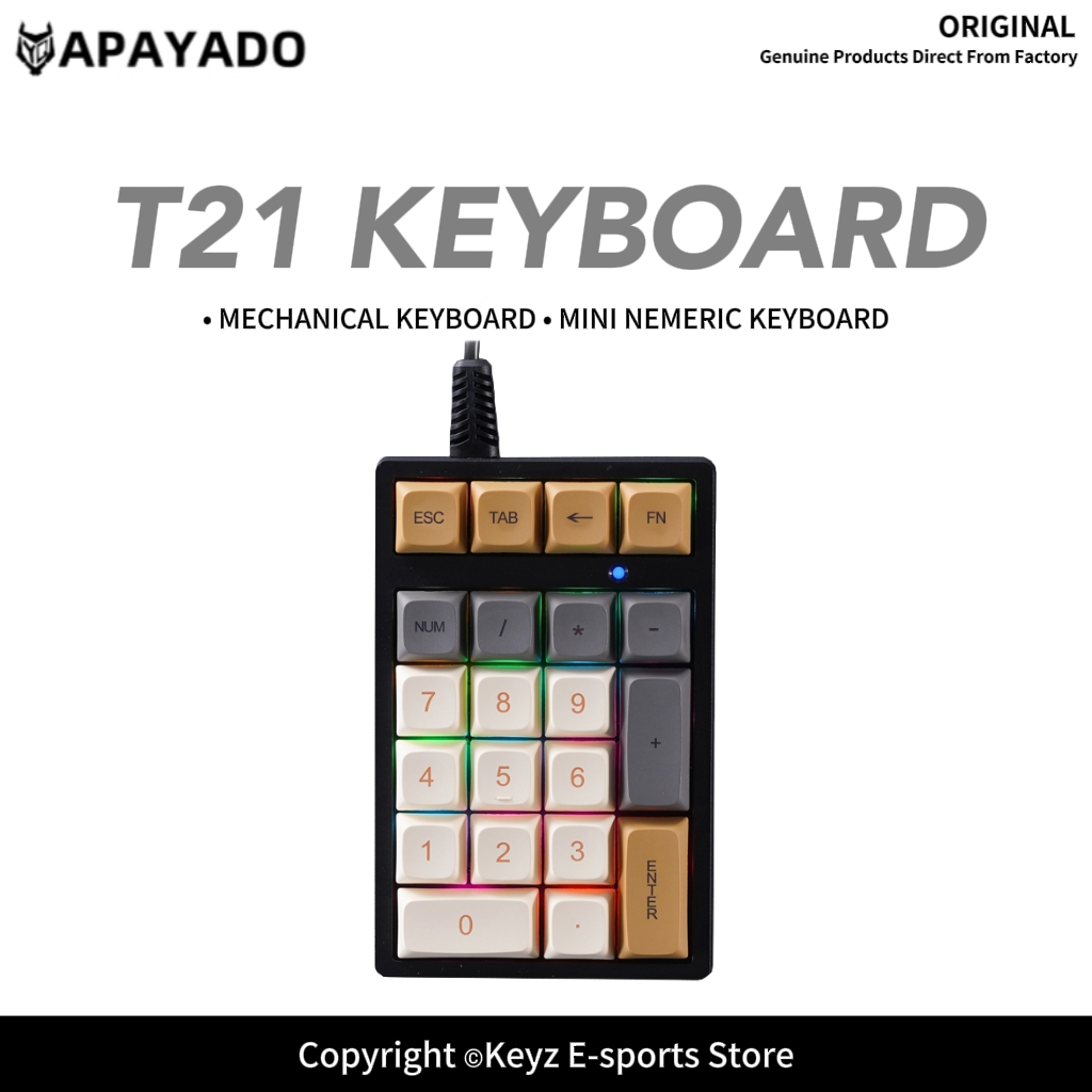 T21 Mini Number Keypad RGB Bac - Keyboard Gaming Blue Switch review and price